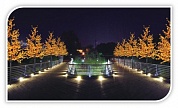 Световое дерево «Клен» LED MAPLE TREE 768 LEDs, Высота: 200 см